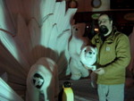 mysterious polar set, in the mall